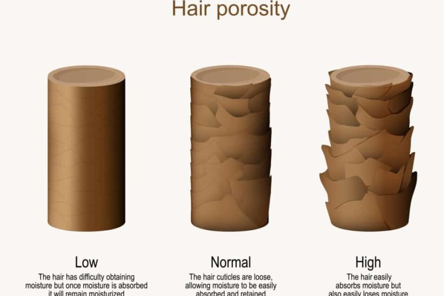 Understanding Low Porosity Hair: Clinical Advice for Healthier Hair