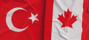 Hair Transplant Canada vs Turkey: Which One Is Better for You?