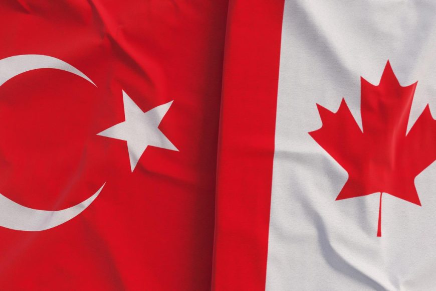 Hair Transplant Canada vs Turkey: Which One Is Better for You?